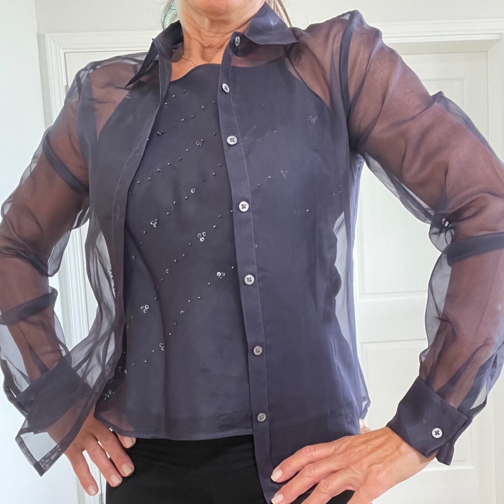 Silk Sheer Blouse and Cami